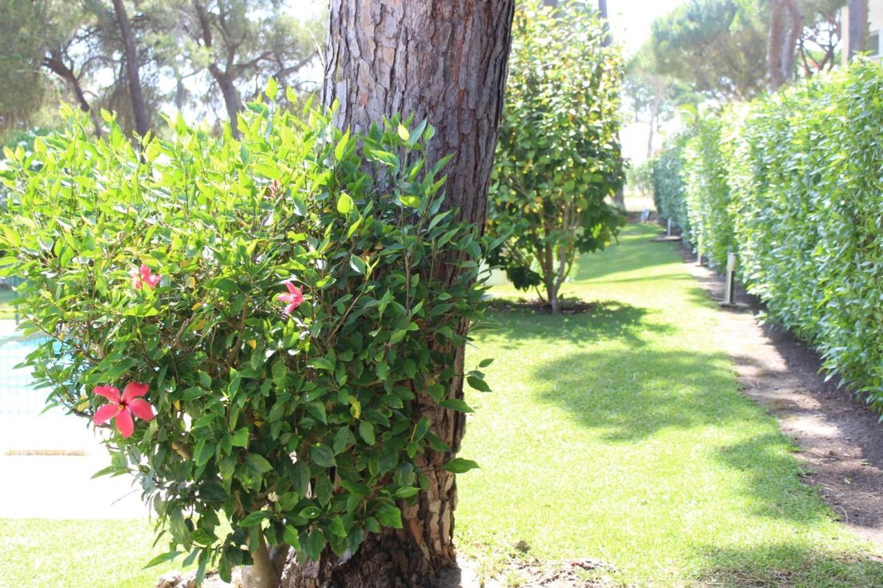 The Pinewood Villa Виламура Екстериор снимка